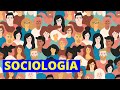 ¿Qué es la sociología y qué estudia? Ramas, importancia y ejemplos👩‍🏫