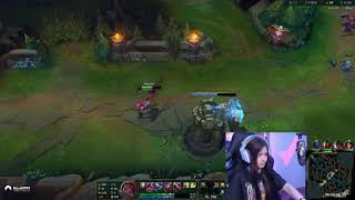 Shaggy Calienta A Nissaxter En Directo