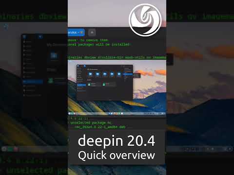 deepin 20.4 Quick overview #Shorts