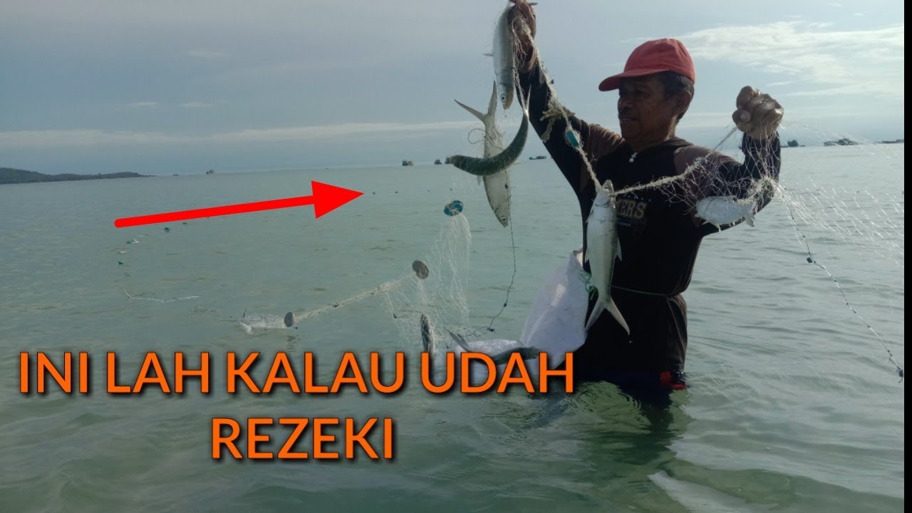 MENJARING IKAN BERSAMA BAPAK SERU BANGET!!! IKAN BANDENG MALAH MERAPAT