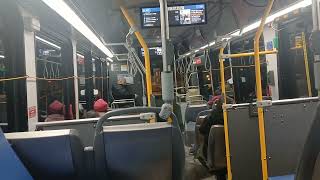 CTA 8350 Series #8394 on the Route 77 Belmont from Lamon to Central (VALENTINE'S DAY SPECIAL)