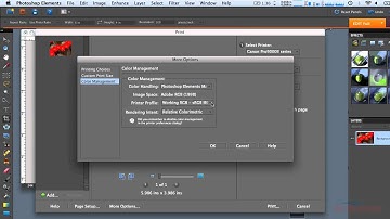 Photoshop Elements - How to use printer color profiles with Photoshop Elements Canon Mac