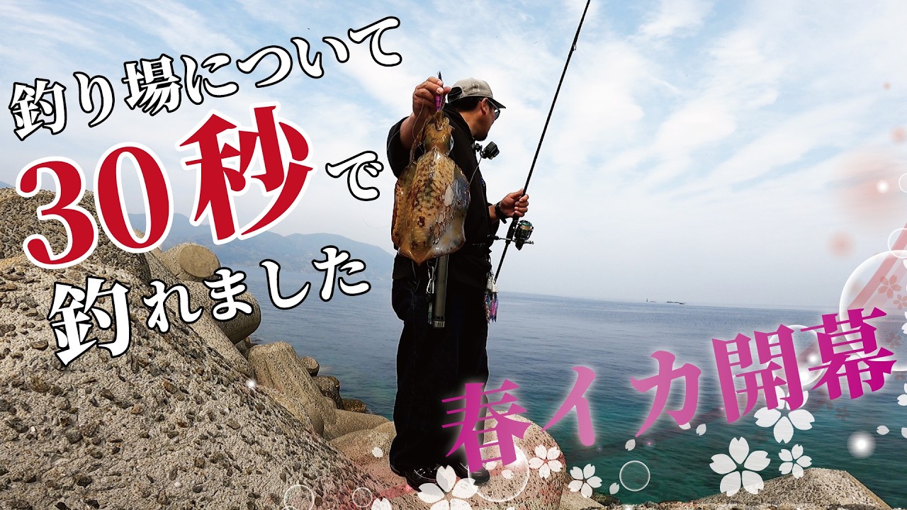 春エギング開幕｜沖磯でキロアップ→テトラ30秒で良型追加した日 #エギング #釣り #長崎