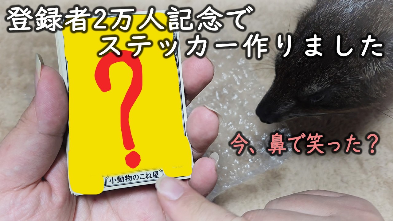 登録者2万人お礼！＆記念にグッズ作りました