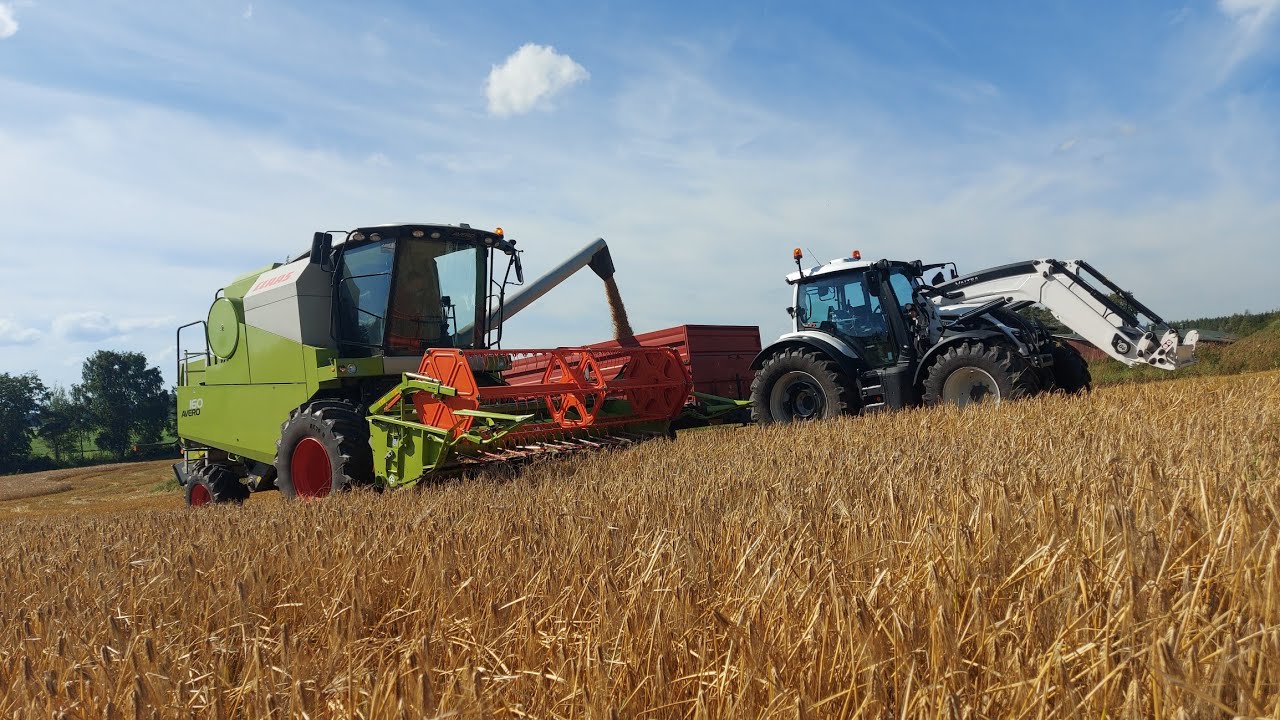 Vertti ohra puintien aloitus 2022