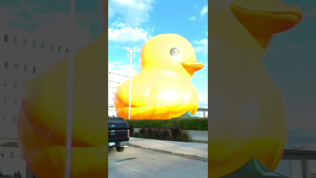 World's largest Rubber Ducky 😲🔥@ Detroit Auto Show - September 14-25 