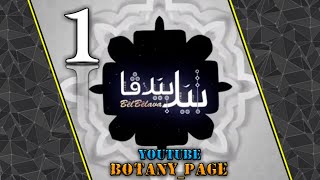 Warven Tufiq Bel Belava Xalaka 1 Gonde (bawarde)2019 بیل بیلافا خه له کا ۱ گوندی (باوه ردی)۲۰۱۹ Warven Tufiq Bel Belava Xalaka 1 Gonde (bawarde)2019 بیل بیلافا خه له کا ۱ گوندی (باوه ردی)۲۰۱۹