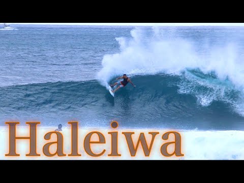 サーファーです hqdefault.jpg