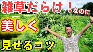 雑草だらけでも綺麗に見せる３つのポイント！