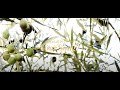 SANGWOO『 Your Song 』 M/V