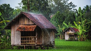 Rain Sounds For Sleeping and Relaxation. Meditation, Study, Relief Stress, Anxiety & Insomnia