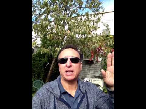 last minute halloween tips youtube last minute interview tips