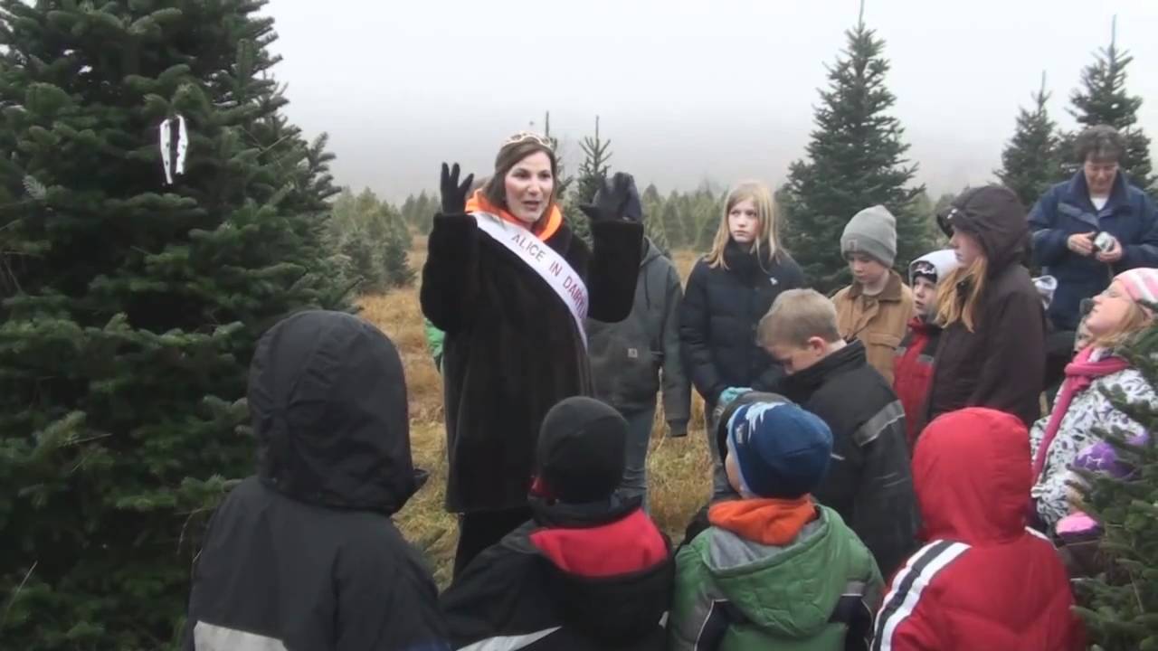 63rd Alice in Dairyland Cuts Wisconsin's First Christmas Tree in