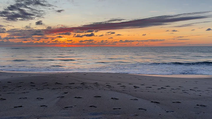 Beach Sunrise with Dolphins