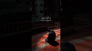 ربكم اعلم بما فى نفوسكم - سورة الاسراء - القارئ علي جابر 🌿