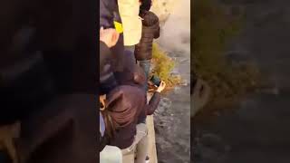 بنزرت شبان ينقذون حوت  بالان كاشالو  صغير ذات 4 امتار ونصف علق بالحوض