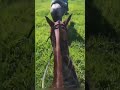 lá vai eu passar vergonha d novo