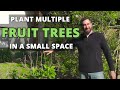 How to Plant Multiple Fruit Trees in a Small Space - High Density Back Yard Orchard Culture