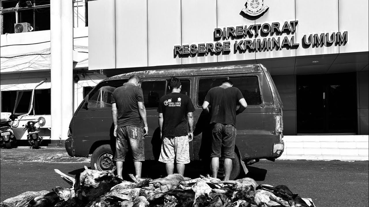 Ops Pekat Tim Resmob Polda Sulut Gagalkan Perdagangan Anj*ng Curian