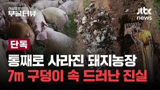 [단독] 제주돼지농장이 통째로 사라졌다?...4년 만에 구속 수감된 두 사람｜이상엽의 부글터뷰