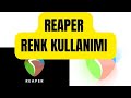 REAPER - RENK SEÇİMİ NASIL YAPILIR?