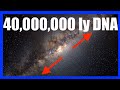 40,000,000 Light-Year Long DNA  | Office Hours Podcast #003
