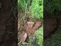 Коп металлома