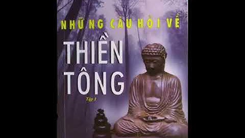 Sách  thiền tông quyển  2. Những  câu hỏi  thiền tông