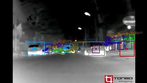 Advanced Enhanced Driver Vision - Minion