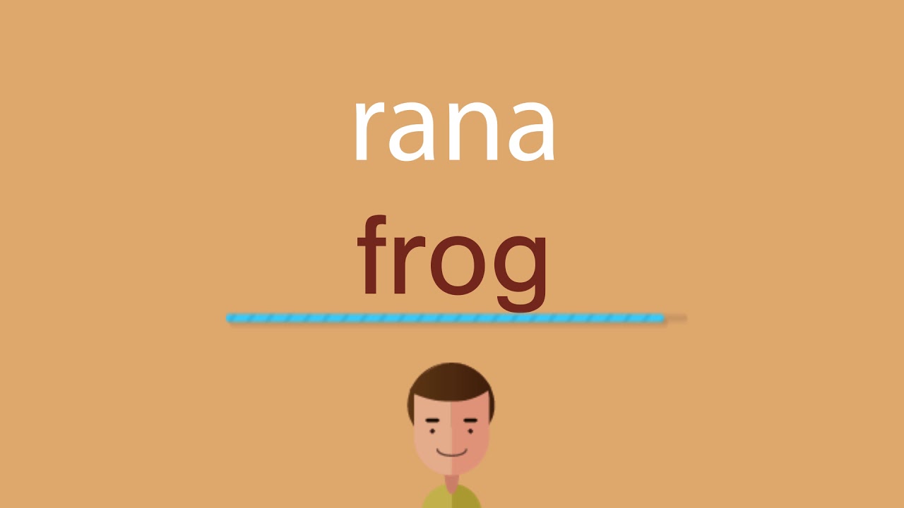 Cómo se dice rana en inglés - YouTube