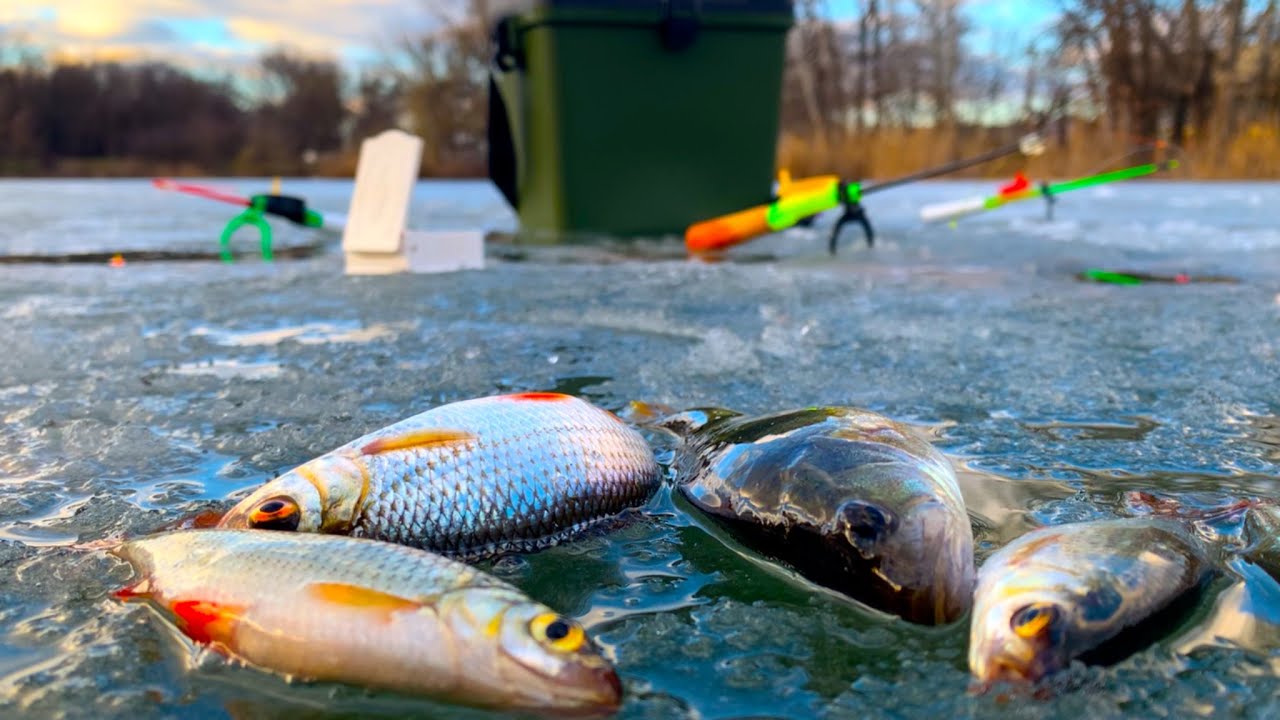 Зимняя рыбалка. Два дня зимней рыбалки в дождь и ветер. Ловля рыбы зимой на разные зимние снасти 
