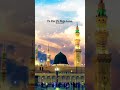Ae sabz gumbad wale.🥰🤲its my voice... 🥺##shortsviral #islamic #shortfeed #islamicvideo #naat #viral