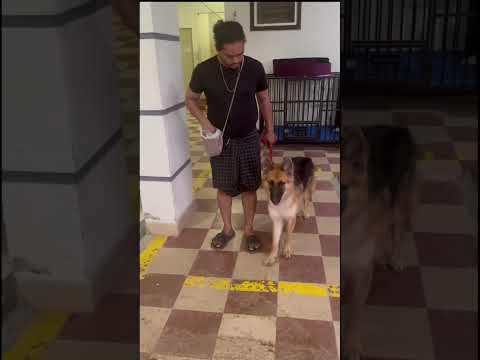 Hicimus Training
