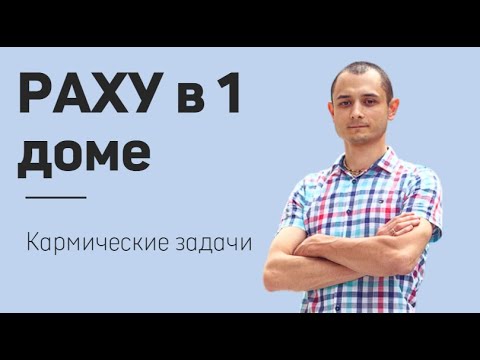 Раху в домах кармические задачи. Раху в 7 доме кармическая задача.