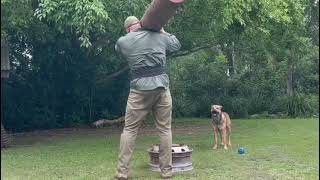 Two a Days--Why, When & How (Operation 400)