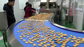 Automatic soft biscuit making machine soft and hard biscuit production line