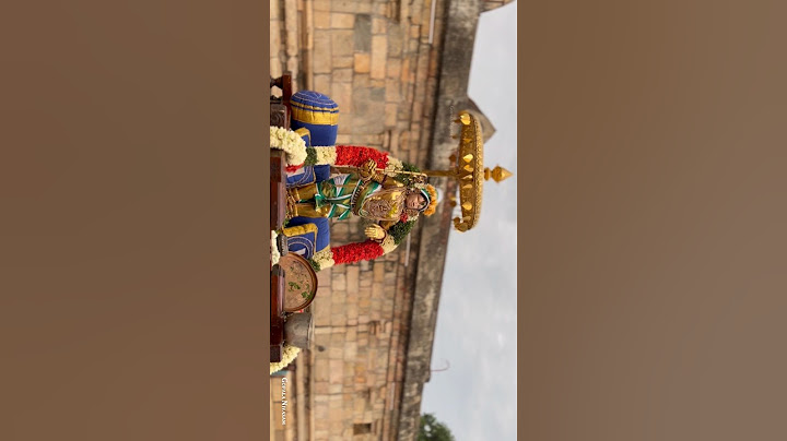 அமாவாசை ஸ்ரீ பெருமாள் புறப்பாடு ஸ்ரீ வித்யா இராஜகோபால ஸ்வாமி திருக்கோயில் இராஜமன்னார்குடி