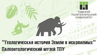 Геологическая история Земли в ископаемых