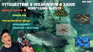 видео: ПРОГУЛКА В ОКЕАНАРИУМ В ХАНОЕ | A WALK TO THE OCEANARIUM IN HANOI картинка: ПРОГУЛКА В ОКЕАНАРИУМ В ХАНОЕ | A WALK TO THE OCEANARIUM IN HANOI