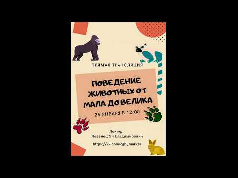 Онлайн-лекция: "Поведение животных от мала до велика"