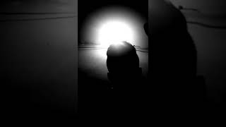 Watcap Ucun Cox Menali Status 2018-2019 Super Seir