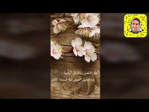 camera iphone 8 plus apk قصر الذاكرة