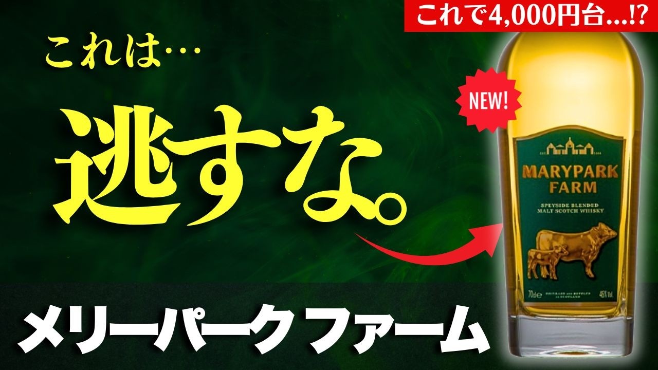 4,000円台 コスパ最強!?🔴話題沸騰のウイスキー】今飲むべきウイスキー