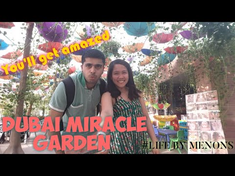 Dubai's Miracle Garden!!!