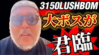 【とんでもない事態の真相】3150LUSHBOMのボスが登場！何を語る！？