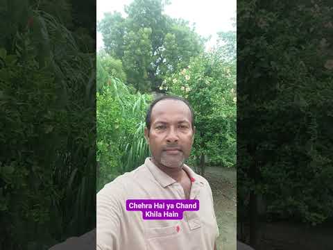 Chehra Hai ya Chand Khila Hain#viral #shortvideo