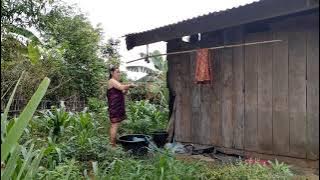 nkauj hmoob laos da dej daim ob