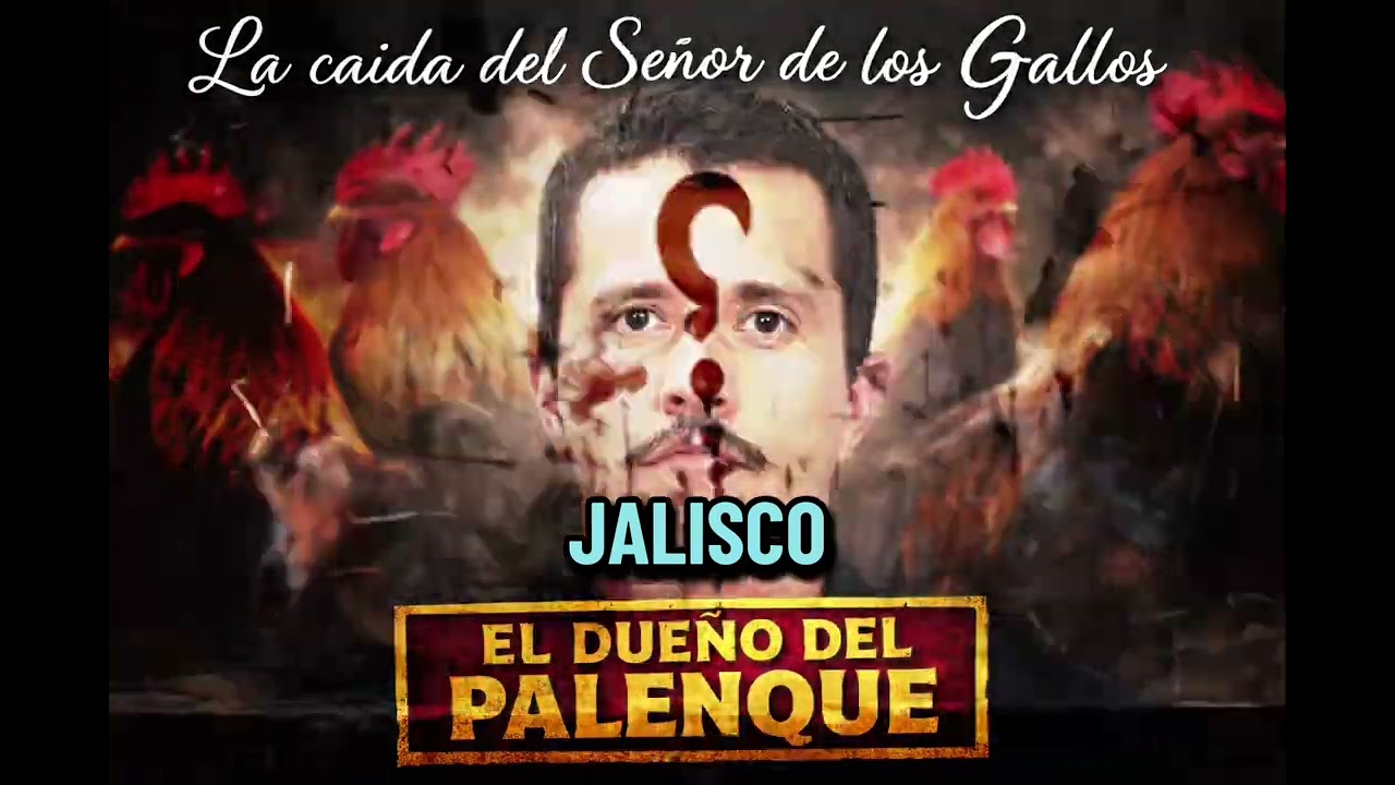 L͢a͢ c͢a͢íd͢a͢ d͢e͢l͢ s͢e͢ño͢r͢ d͢e͢ l͢o͢s͢ g͢a͢l͢l͢o͢s͢ - 𝘙𝘶𝘯 𝘸𝘪𝘵𝘩𝘰𝘶𝘵 𝘰𝘧𝘧𝘦𝘯𝘴𝘦 𝘵𝘰 𝘢𝘯𝘺𝘰𝘯𝘦 ✍🏼🗒️