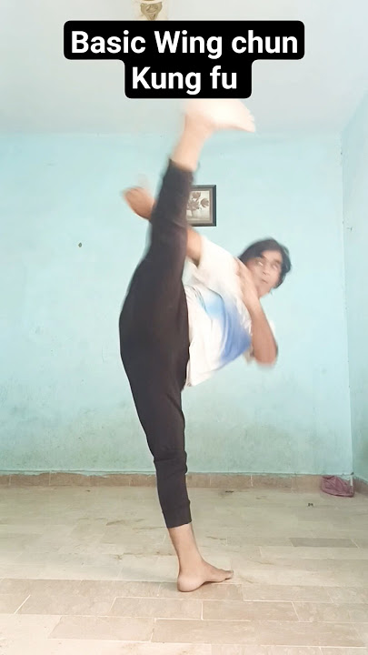 Wing Chun Kung Fu | Kung Fu Training | Ip man martial arts #youtubeshorts #youtubeshorts #shorts