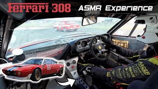 Ferrari V8 ASMR Symphony || Onboard Racing in Angus Fogg's 1975 Ferrari 308 Dino GT4 - HVRA NZ by Racecars Universe 1,711 views 1 month ago 8 minutes, 19 seconds